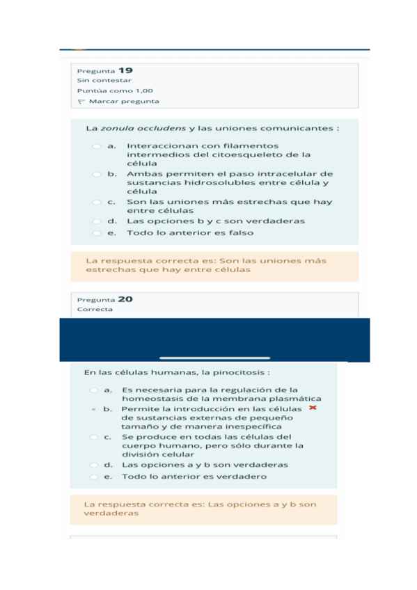 Miniatura del documento examen primer parcial 21-22