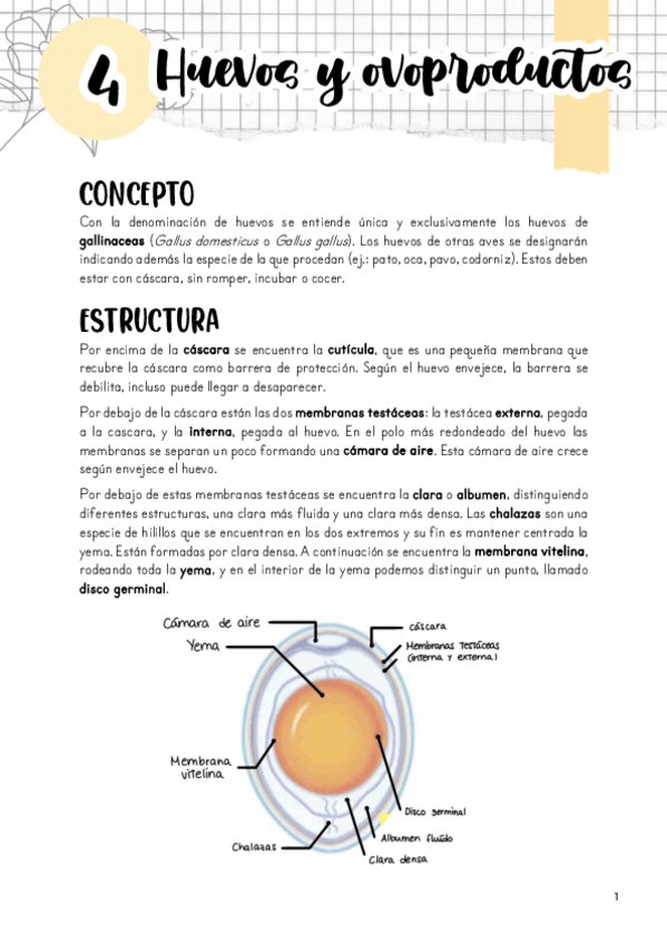 Miniatura del documento Tema-4.pdf