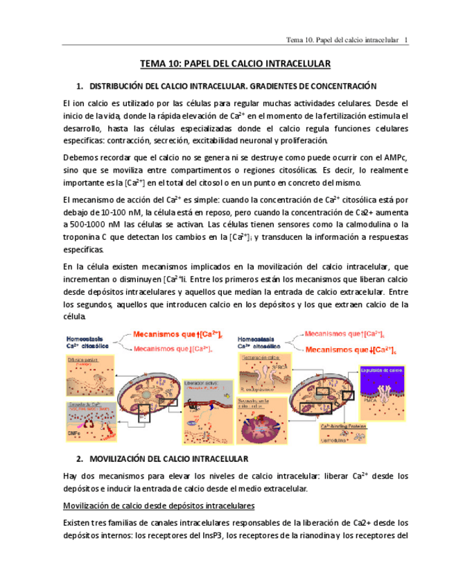 Miniatura del documento TEMA-10.pdf