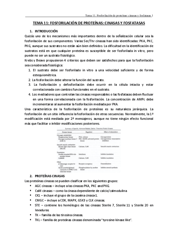 Miniatura del documento TEMA-11.pdf