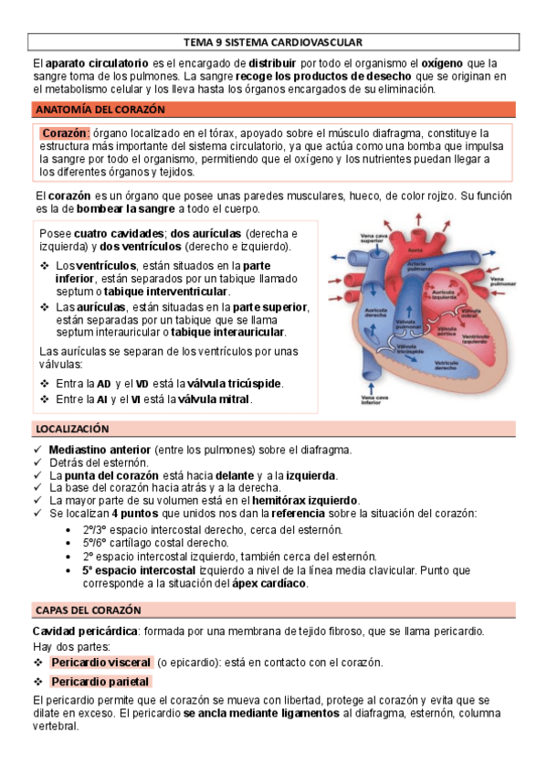 Miniatura del documento TEMA-9-SISTEMA-CARDIOVASCULAR.pdf