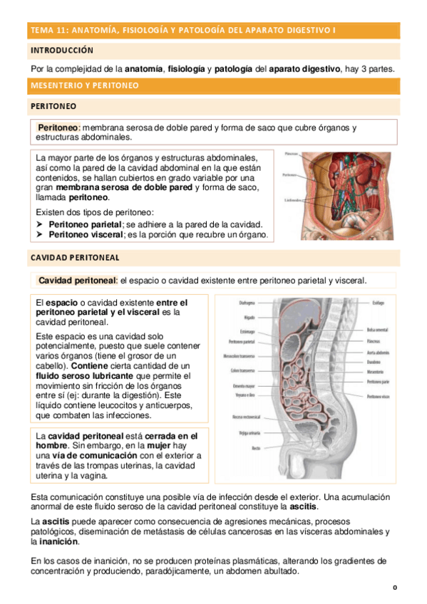 Miniatura del documento TEMA-11-ANATOMIA-FISIOLOGIA-Y-PATOLOGIA-DEL-APARATO-DIGESTIVO-I.pdf
