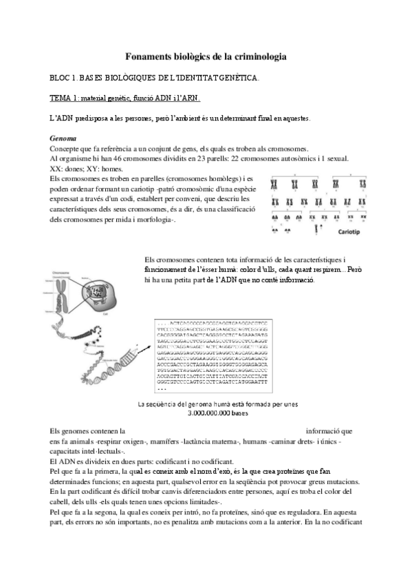 Miniatura del documento Fonaments-biologics-de-la-criminologia.pdf