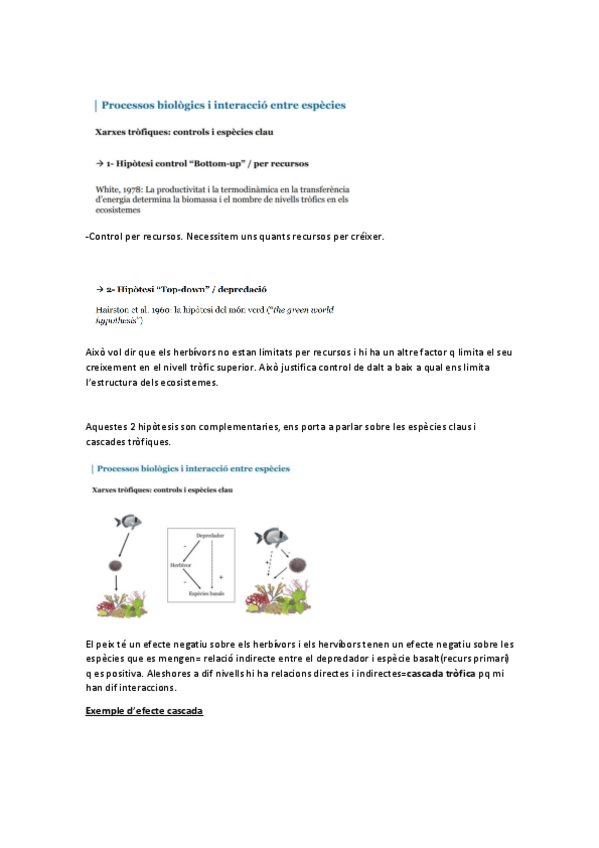 Miniatura del documento Vida-ocea.pdf