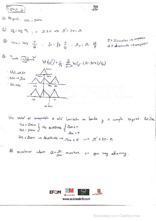 Miniatura del documento PDS.pdf
