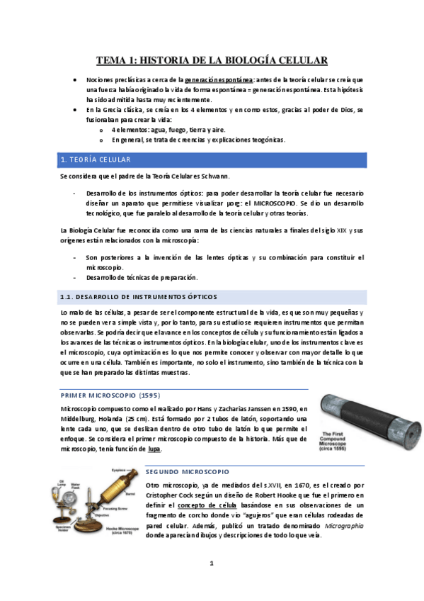 Miniatura del documento Tema-1-Historia.pdf