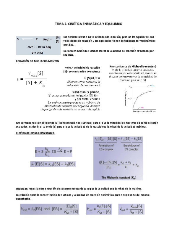 Miniatura del documento Tema-2. Cinética enzimática y equilibrio.pdf