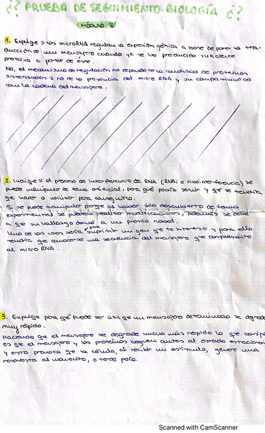 Miniatura del documento Modulo-8-Preguntas.pdf