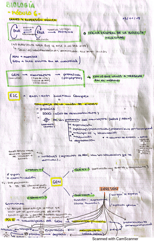 Miniatura del documento Modulo-6-Teoria-y-preguntas.pdf