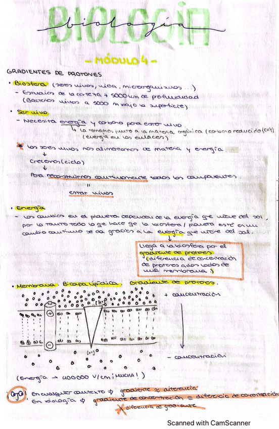 Miniatura del documento Modulo-4-Teoria-y-preguntas.pdf