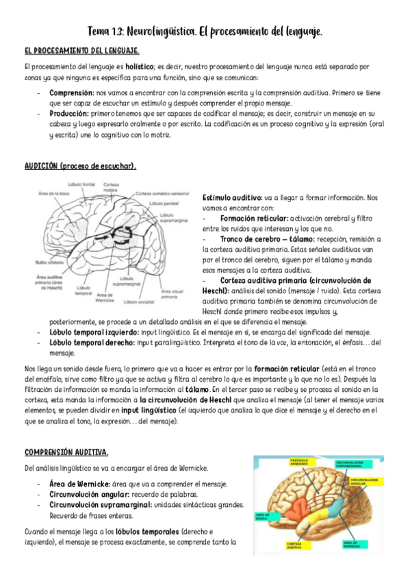 Miniatura del documento Tema-1.3.pdf