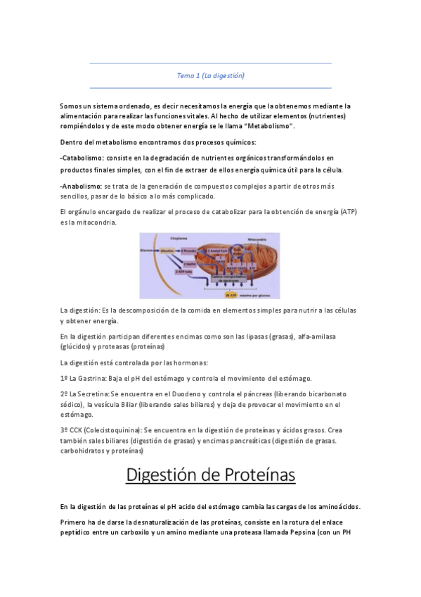 Miniatura del documento metabolismo.pdf