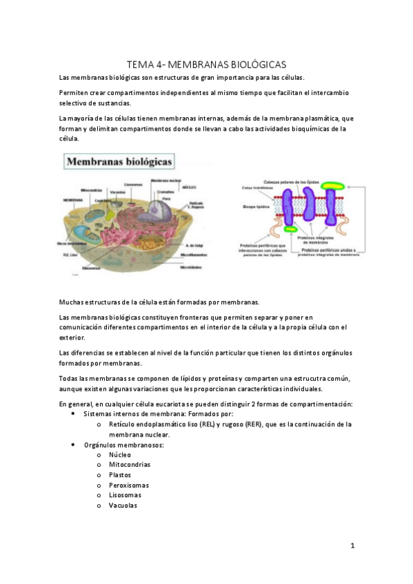 Miniatura del documento Tema-4.pdf
