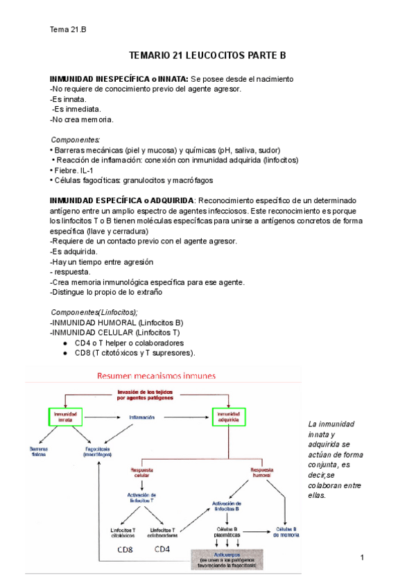 Miniatura del documento Temario-21b-fisio.pdf