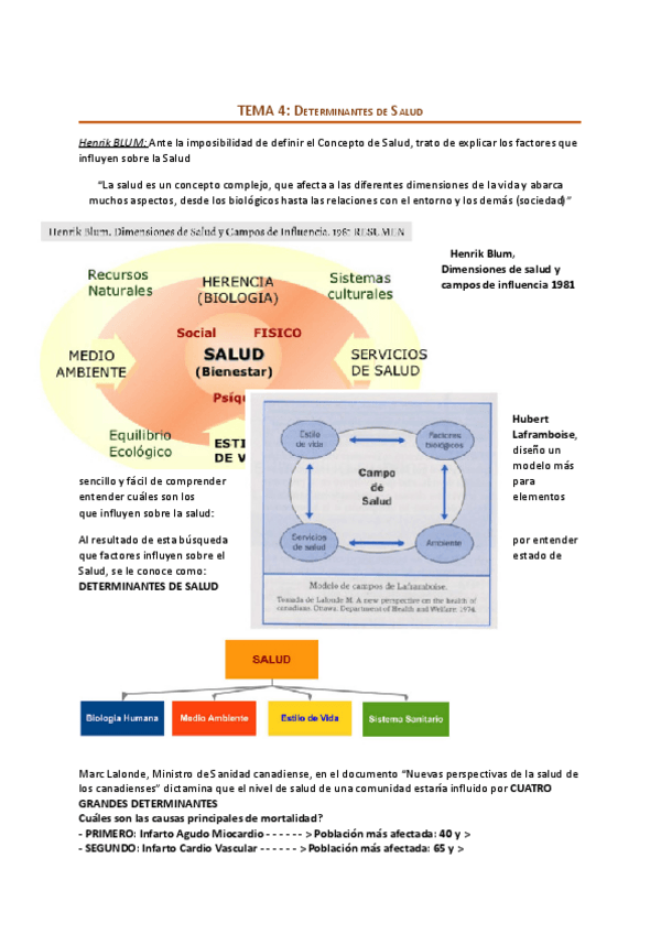 Miniatura del documento Tema-4-determinantes-salud-publica.pdf