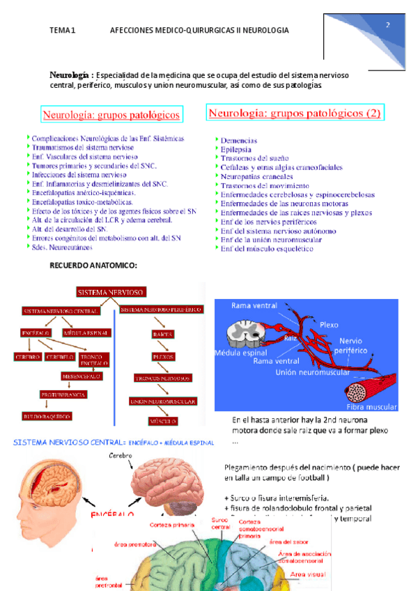 Miniatura del documento Tema-1-AFECCIONES-MEDICO-neuro.pdf