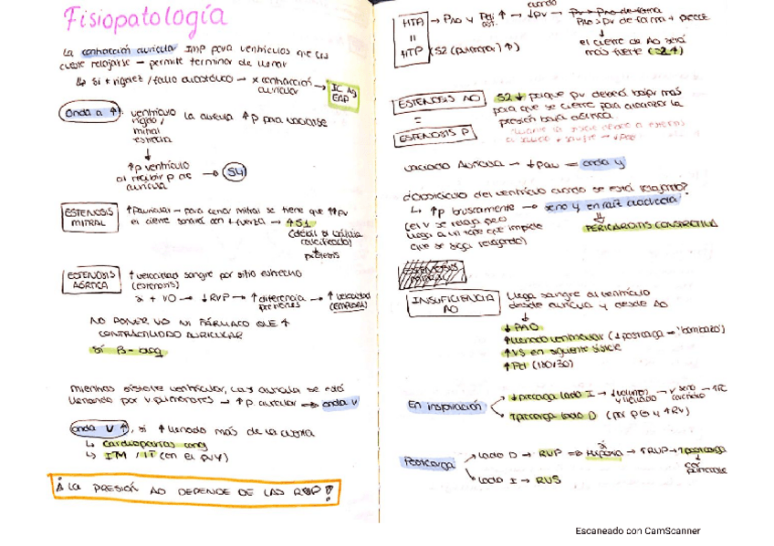Miniatura del documento cardio.pdf