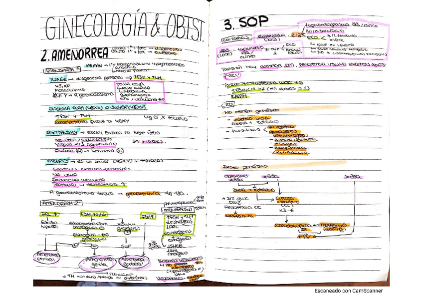 Miniatura del documento gine.pdf