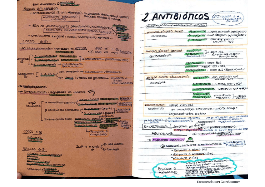Miniatura del documento infecciosas.pdf