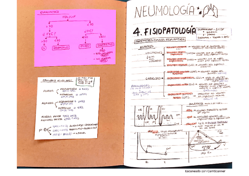 Miniatura del documento neumo.pdf