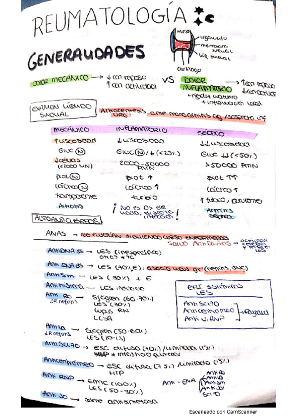 Miniatura del documento reuma.pdf