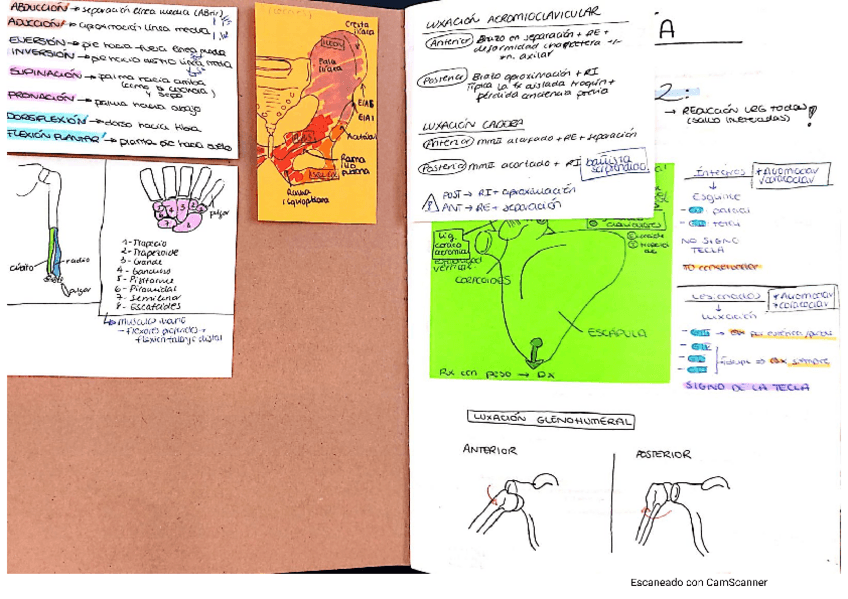 Miniatura del documento trauma.pdf