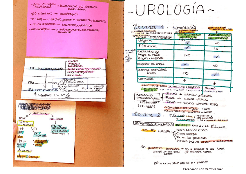 Miniatura del documento uro.pdf