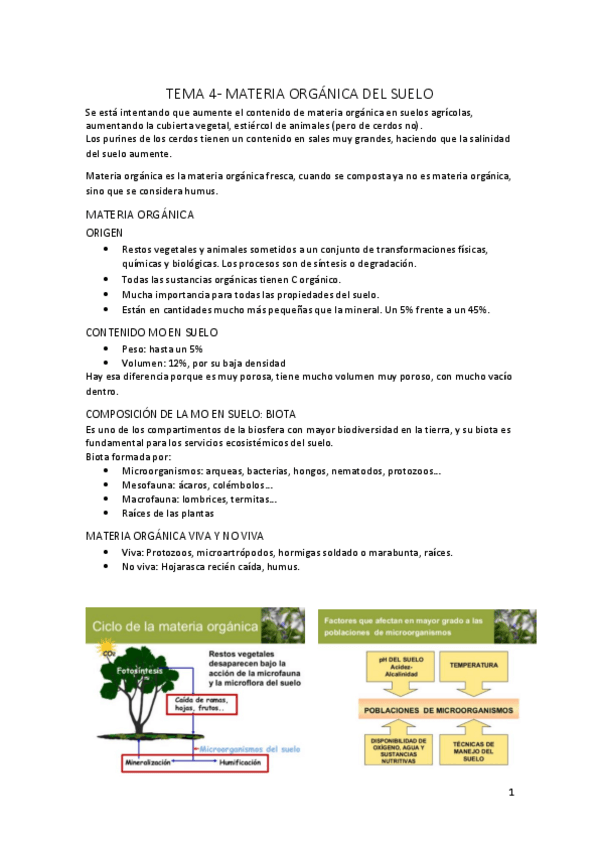 Miniatura del documento Tema-4.pdf