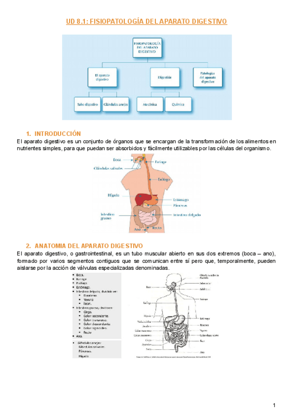Miniatura del documento UD-8.pdf