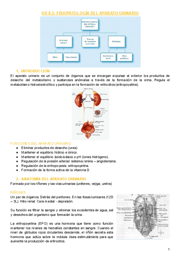 Miniatura del documento UD-8.pdf