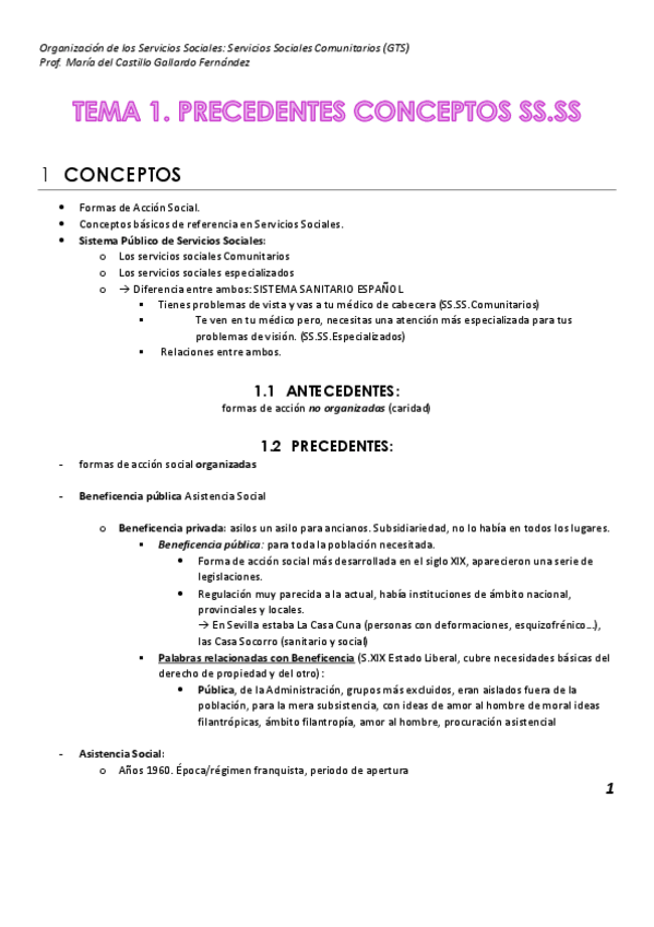 Miniatura del documento TEMA-1.pdf