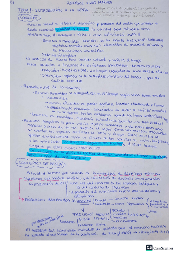 Miniatura del documento PesqueriasApuntesLaia.pdf