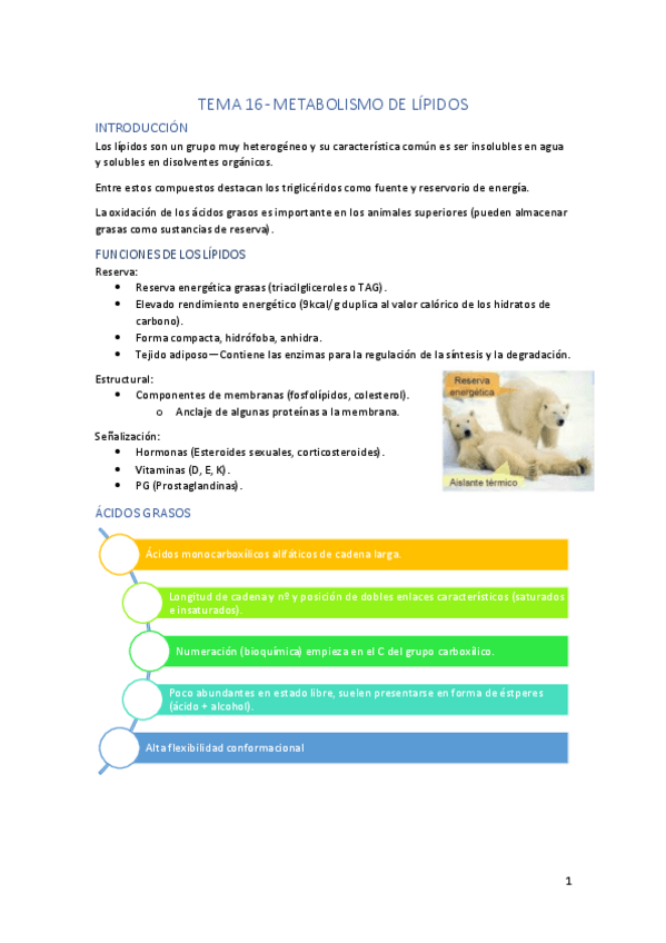 Miniatura del documento Tema-16.pdf