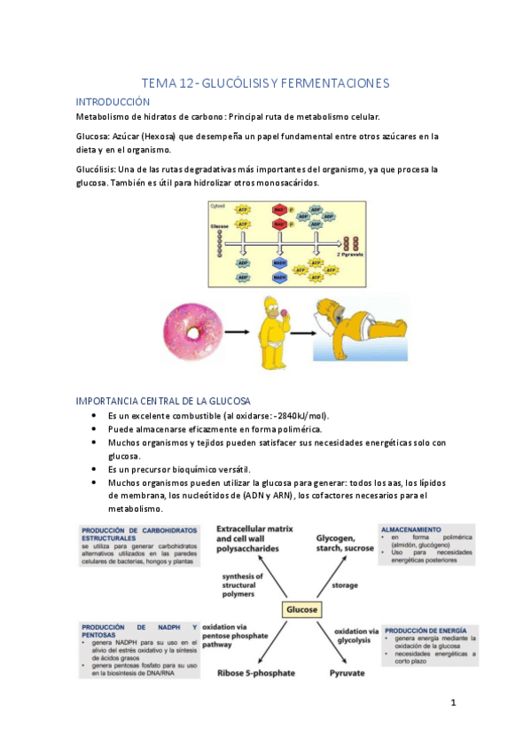 Miniatura del documento Tema-12.pdf