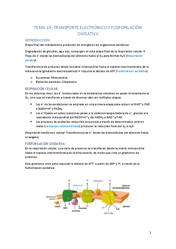 Miniatura del documento Tema-15.pdf