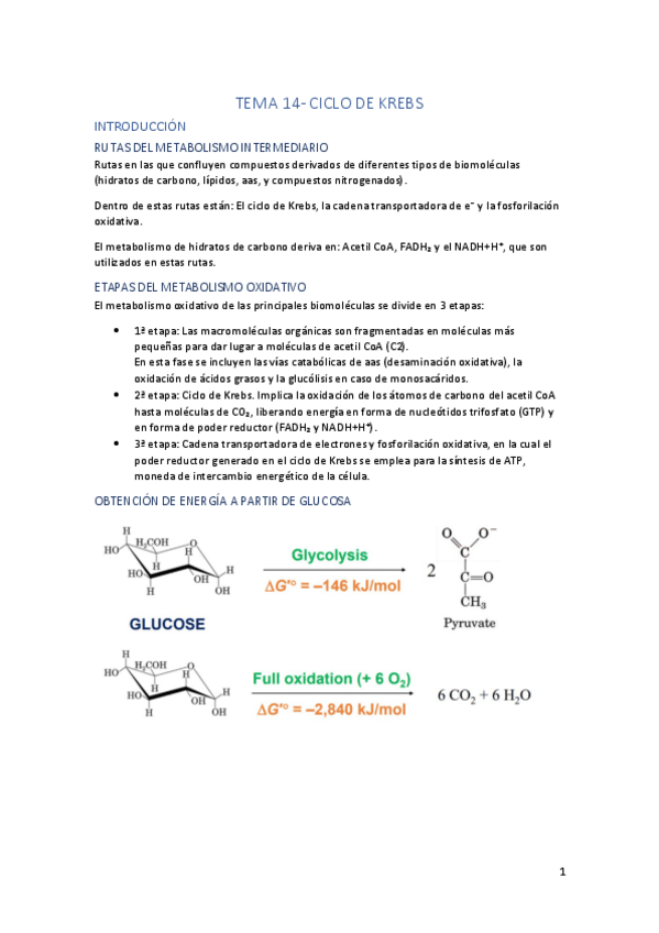 Miniatura del documento Tema-14.pdf
