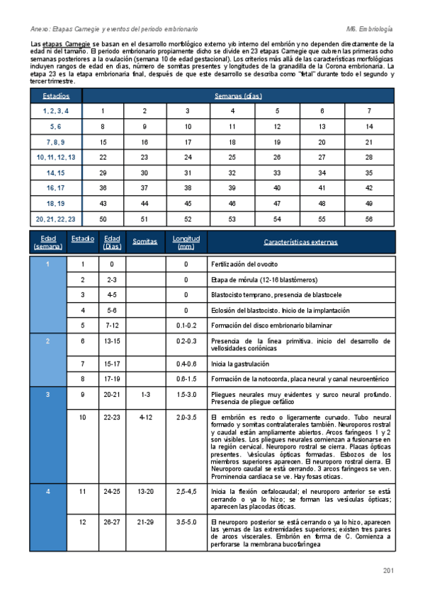 Miniatura del documento Etapas-Carnegie-y-eventos-del-periodo-embrionario.pdf