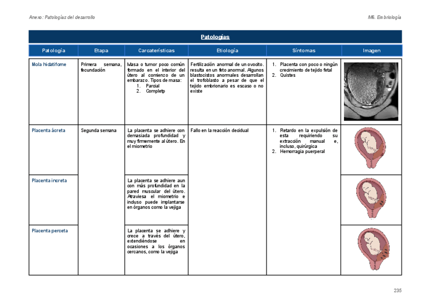 Miniatura del documento Patologias-del-desarrollo.pdf