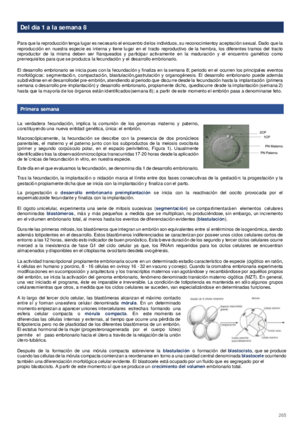 Miniatura del documento Semana-1-4.pdf
