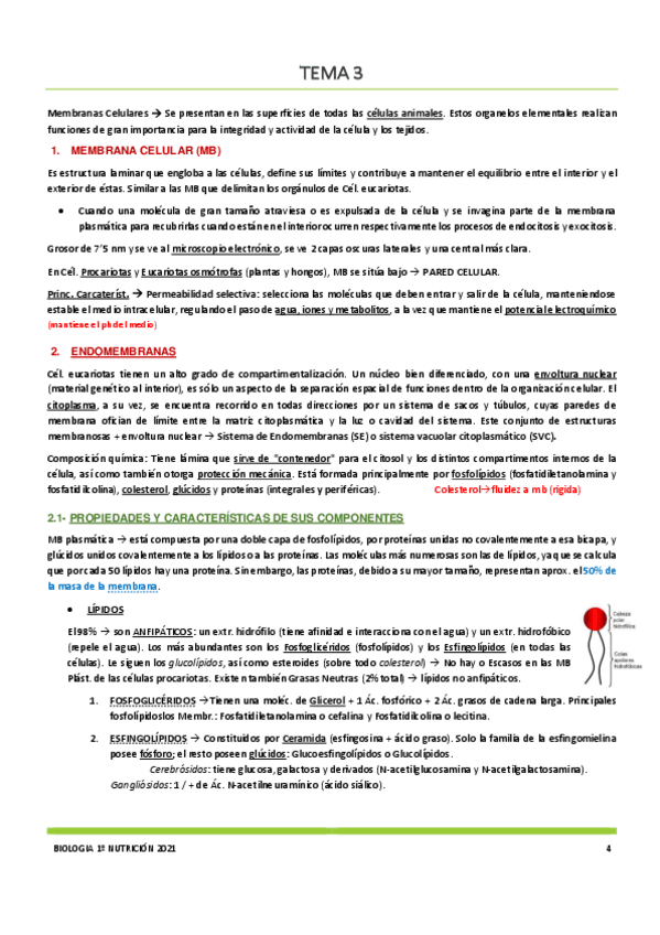 Miniatura del documento Tema-3.pdf