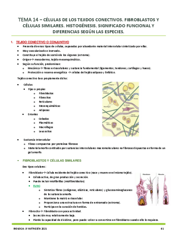 Miniatura del documento Tema-14.pdf