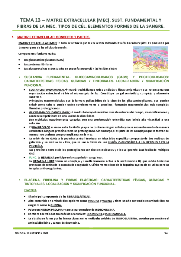 Miniatura del documento Tema-13.pdf