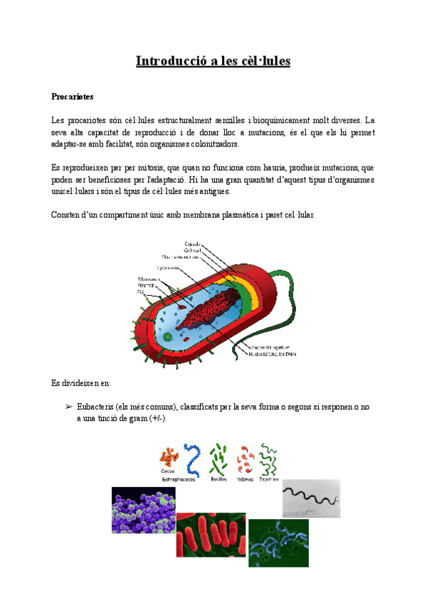 Miniatura del documento Apunts-BC-Parcial-1.pdf