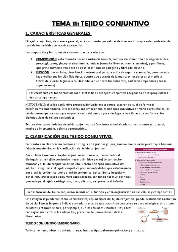 Miniatura del documento TEMA-11-TEJIDO-CONJUNTIVO.pdf