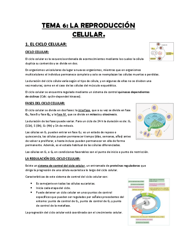 Miniatura del documento TEMA-6-REPRODUCCION-CELULAR.pdf