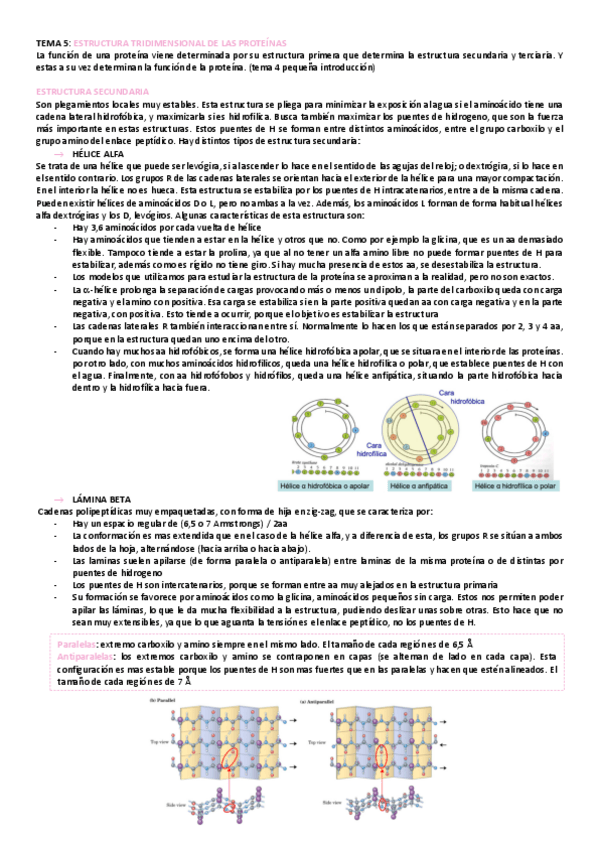 Miniatura del documento tema-5-bioquimica.pdf