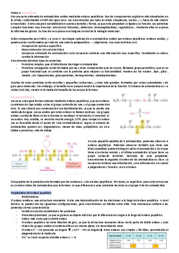 Miniatura del documento tema-4-bioquimica.pdf