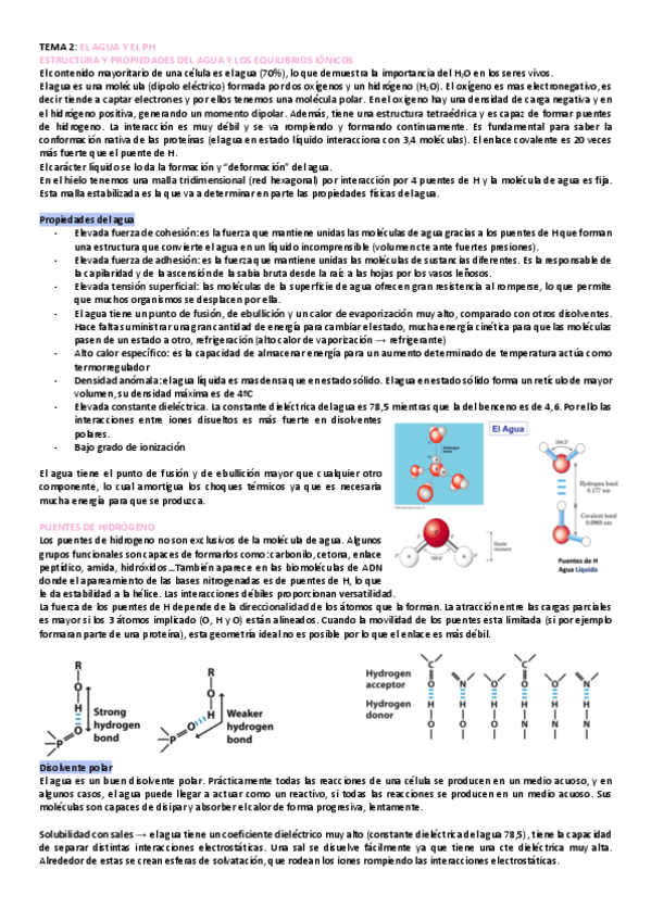 Miniatura del documento tema-2-bioquimica.pdf