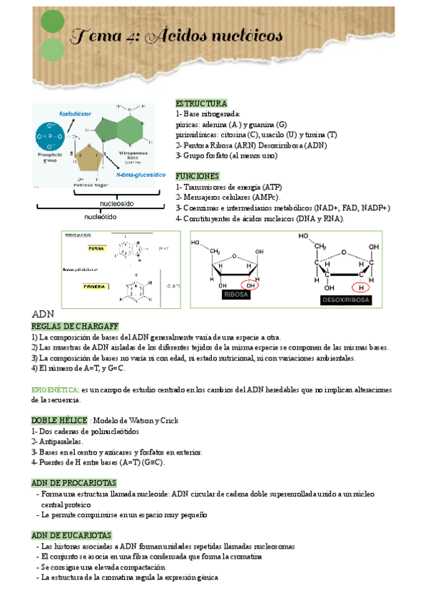 Miniatura del documento Tema-4.pdf