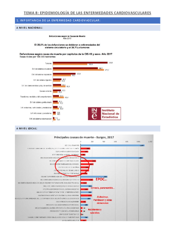 Miniatura del documento TEMA-8-EPIDEMIOLOGIA-DE-LAS-ENFERMEDADES-CARDIOVASCULARES.pdf